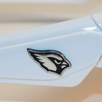 Arizona Cardinals White Maxx Dynasty Sunglasses Team Logo